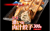 肉汁餃子&nbsp;300個(30個入×10袋)