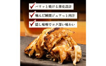 肉汁餃子&nbsp;300個(30個入×10袋)