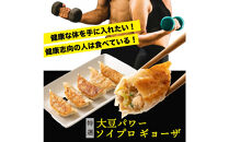 大豆パワー&nbsp;ソイプロギョーザ&nbsp;60個(30個入×2袋)