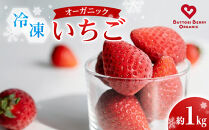 訳あり&nbsp;冷凍&nbsp;オーガニックいちご1kg&nbsp;有機いちご&nbsp;苺&nbsp;さちのか｜いちご&nbsp;果物&nbsp;フルーツ&nbsp;苺&nbsp;人気&nbsp;期間限定&nbsp;人気&nbsp;ギフト&nbsp;プレゼント&nbsp;贈答&nbsp;ケーキ&nbsp;グルメ&nbsp;デザート&nbsp;おやつ&nbsp;お菓子&nbsp;送料無料