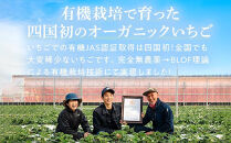 冷凍&nbsp;オーガニックいちご&nbsp;1kg&nbsp;有機いちご&nbsp;苺&nbsp;さちのか｜いちご&nbsp;果物&nbsp;フルーツ&nbsp;苺&nbsp;人気&nbsp;無農薬&nbsp;期間限定&nbsp;人気&nbsp;ギフト&nbsp;プレゼント&nbsp;贈答&nbsp;ケーキ&nbsp;グルメ&nbsp;デザート&nbsp;おやつ&nbsp;お菓子&nbsp;送料無料