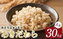 【令和7年産】みどりふぁーむのあきだわら玄米30kg&nbsp;|&nbsp;富山米&nbsp;南砺市産&nbsp;国産米&nbsp;コシヒカリに似た甘さ&nbsp;あっさり食感&nbsp;高品質&nbsp;ブランド米&nbsp;玄米食&nbsp;健康志向&nbsp;自然派&nbsp;ダイエット&nbsp;食生活改善&nbsp;ファミリー向け&nbsp;大容量&nbsp;産地直送&nbsp;新鮮&nbsp;安心&nbsp;安全&nbsp;美味しい&nbsp;人気&nbsp;おすすめ&nbsp;送料無料