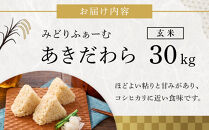 【令和7年産】みどりふぁーむのあきだわら玄米30kg&nbsp;|&nbsp;富山米&nbsp;南砺市産&nbsp;国産米&nbsp;コシヒカリに似た甘さ&nbsp;あっさり食感&nbsp;高品質&nbsp;ブランド米&nbsp;玄米食&nbsp;健康志向&nbsp;自然派&nbsp;ダイエット&nbsp;食生活改善&nbsp;ファミリー向け&nbsp;大容量&nbsp;産地直送&nbsp;新鮮&nbsp;安心&nbsp;安全&nbsp;美味しい&nbsp;人気&nbsp;おすすめ&nbsp;送料無料