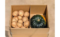 Suage直営農園　新じゃが3kg＆かぼちゃ1玉