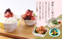 紀州南高梅&nbsp;紫蘇梅&nbsp;350g×2&nbsp;塩分15％&nbsp;[定期便&nbsp;毎月発送・全3回]