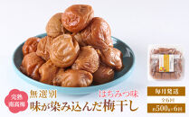 無選別&nbsp;和歌山の完熟南高梅&nbsp;味が染み込んだ梅干し&nbsp;はちみつ味&nbsp;500g&nbsp;塩分10％&nbsp;[定期便&nbsp;毎月発送・全6回]