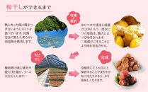 無選別&nbsp;和歌山の完熟南高梅&nbsp;味が染み込んだ梅干し&nbsp;はちみつ味&nbsp;500g&nbsp;塩分10％&nbsp;[定期便&nbsp;毎月発送・全12回]