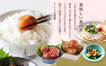 無選別&nbsp;和歌山の完熟南高梅&nbsp;味が染み込んだ梅干し&nbsp;しそ味&nbsp;500g&nbsp;塩分10％&nbsp;[定期便&nbsp;毎月発送・全3回]
