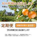 家庭用&nbsp;柑橘定期便M（奇数月）全6回&nbsp;［IKE308］