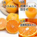 家庭用&nbsp;柑橘定期便M（奇数月）全6回&nbsp;［IKE308］