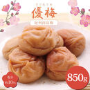 いなみの里梅園 紀州南高梅 優梅850g 塩分約10％【和歌山産】印南町