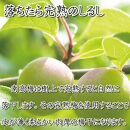 いなみの里梅園&nbsp;紀州南高梅&nbsp;こんぶ風味梅干850g&nbsp;塩分約8%【和歌山産】印南町