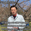 いなみの里梅園&nbsp;紀州南高梅&nbsp;こんぶ風味梅干850g&nbsp;塩分約8%【和歌山産】印南町