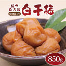 いなみの里梅園&nbsp;紀州南高梅&nbsp;白干梅850g&nbsp;塩分約15％【和歌山産】印南町