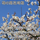 いなみの里梅園&nbsp;紀州南高梅&nbsp;白干梅850g&nbsp;塩分約15％【和歌山産】印南町