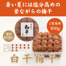 いなみの里梅園&nbsp;紀州南高梅&nbsp;白干梅850g&nbsp;塩分約15％【和歌山産】印南町
