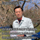 いなみの里梅園&nbsp;紀州南高梅&nbsp;白干梅850g&nbsp;塩分約15％【和歌山産】印南町