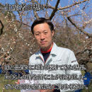 いなみの里梅園&nbsp;紀州南高梅&nbsp;かつお梅&nbsp;850g&nbsp;塩分約8％【和歌山産】印南町