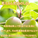 いなみの里梅園&nbsp;紀州南高梅&nbsp;はちみつ梅&nbsp;850g&nbsp;塩分約8％【農林水産大臣賞受賞】印南町