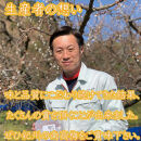 いなみの里梅園&nbsp;紀州南高梅&nbsp;はちみつ梅&nbsp;850g&nbsp;塩分約8％【農林水産大臣賞受賞】印南町