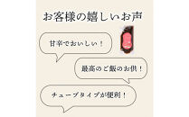 ヒロツク お手軽チューブ海苔めんたい200g×3袋