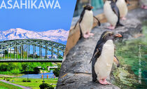 【北海道ツアー】旭川市&nbsp;後から選べる旅行Webカタログで使える！旅行クーポン&nbsp;15万円分【&nbsp;旅&nbsp;旅行&nbsp;トラベル&nbsp;予約&nbsp;国内旅行&nbsp;宿泊&nbsp;観光&nbsp;体験&nbsp;旅行券&nbsp;宿泊券&nbsp;旅行予約&nbsp;ホテル&nbsp;旅館&nbsp;チケット&nbsp;子供&nbsp;子連れ&nbsp;カップル&nbsp;家族&nbsp;人気&nbsp;おすすめ&nbsp;旅行クーポン&nbsp;有効期間2年&nbsp;】_04885