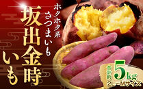 ＜2026年8月下旬以降発送・先行予約＞ホクホク系さつまいも「坂出金時いも」　約5kg&nbsp;|&nbsp;さつまいも&nbsp;芋&nbsp;サツマイモ&nbsp;いも&nbsp;坂出金時いも&nbsp;金時いも&nbsp;金時&nbsp;焼き芋&nbsp;ホクホク&nbsp;ホクホク系&nbsp;先行予約&nbsp;人気&nbsp;おすすめ&nbsp;香川県&nbsp;坂出市