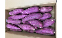 ＜2026年8月下旬以降発送・先行予約＞ホクホク系さつまいも「坂出金時いも」　約5kg&nbsp;|&nbsp;さつまいも&nbsp;芋&nbsp;サツマイモ&nbsp;いも&nbsp;坂出金時いも&nbsp;金時いも&nbsp;金時&nbsp;焼き芋&nbsp;ホクホク&nbsp;ホクホク系&nbsp;先行予約&nbsp;人気&nbsp;おすすめ&nbsp;香川県&nbsp;坂出市