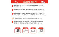 【開梱・設置】PAZIO&nbsp;ソファセット&nbsp;280cm（L）左側カウチ　選べるカラー（Cランク）・脚部素材