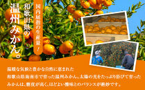 ［先行予約］訳あり&nbsp;温州みかん&nbsp;約2kg&nbsp;2S～2Lサイズ混合［2025年11月上旬頃から順次発送予定］