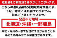 ［先行予約］いちご（まりひめ）　1パック(11粒入り）×4パック　ゆりかーご包装&nbsp;&nbsp;［2026年3月中旬から4月中旬にお届け予定］tagfam004