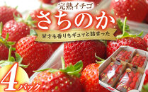 完熟イチゴ　さちのか　希少いちご　神奈川県産　苺　４パック入り