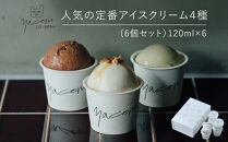 人気の定番アイスクリーム４種（6個セット）