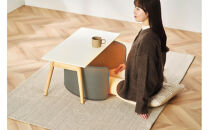 ぐるポカパネルヒーター&nbsp;APH-R12B-MH&nbsp;モスグレー