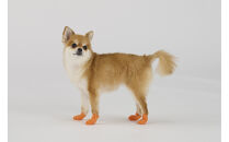 ペット用防災セット犬用　　１５点セット&nbsp;PBSI-15