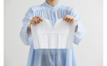 【10枚入り×24個】トルクリーン　トイレクリーナー厚手　&nbsp;T-TA20　20枚入り（10枚×2個）×12個