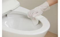 【10枚入り×24個】トルクリーン　トイレクリーナー厚手　&nbsp;T-TA20　20枚入り（10枚×2個）×12個