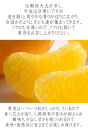 訳あり&nbsp;はっさく&nbsp;八朔&nbsp;ハッサク&nbsp;わけあり&nbsp;10kg｜海南市産&nbsp;まごころ産直みかん&nbsp;木成り&nbsp;完熟はっさく&nbsp;柑橘&nbsp;みかん&nbsp;フルーツ&nbsp;和歌山みかん&nbsp;国産&nbsp;産地直送&nbsp;甘酸っぱくて爽やか！［Mg69］