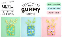  [UCHU wagashi]GUMMY 3種セット(パイナップルと日向夏/マスカットと林檎/マンゴーと生姜)|京都 創作和菓子 人気店 グミ[ 和グミ全3種詰め合せ 新しい和菓子 もっちり感 他にはない個性いっぱい 和三盆 可愛い 手作り 人気 おすすめ お取り寄せ 通販 送料無料 ふるさと納税 ]
