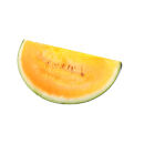 【先行予約】旬の味覚を2度楽しめる、特別な鳥取スイカセット（こちらの返礼品は、大栄西瓜ではありません）