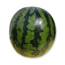 【先行予約】旬の味覚を2度楽しめる、特別な鳥取スイカセット（こちらの返礼品は、大栄西瓜ではありません）