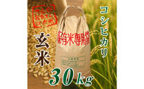 令和７年度産新米&nbsp;伊賀産&nbsp;コシヒカリ&nbsp;30kg&nbsp;玄米