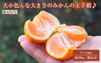 12/25までにご入金確認分は年内発送確定！開けてびっくり！大小色んな大きさのみかんの玉手箱♪&nbsp;ご家庭用&nbsp;箱込み約10kg（2S～3L以上サイズ混合）