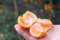 12/25までにご入金確認分は年内発送確定！開けてびっくり！大小色んな大きさのみかんの玉手箱！箱込み約10kg（2S～3L以上サイズ混合）