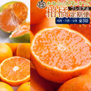 厳選&nbsp;柑橘定期便M（10～12月）全3回&nbsp;［IKE298］