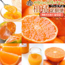 厳選&nbsp;柑橘定期便M（偶数月）全6回&nbsp;［IKE294］