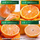 家庭用&nbsp;柑橘定期便S（毎月）全12回&nbsp;［IKE300］