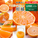 家庭用&nbsp;柑橘定期便M（毎月）全12回&nbsp;［IKE307］