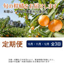 家庭用&nbsp;柑橘定期便M（10～12月）全3回&nbsp;［IKE313］