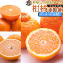 厳選 柑橘定期便S（1～3月）全3回［IKE288］